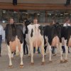 Wintershow_NH_2016_095