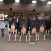 Wintershow_NH_2016_097