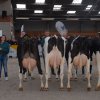 Wintershow_NH_2016_099