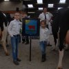 Wintershow_NH_2016_100