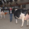 Wintershow_NH_2016_104