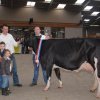 Wintershow_NH_2016_105