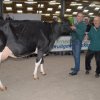 Wintershow_NH_2016_107