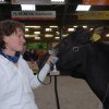 Wintershow_NH_2016_109