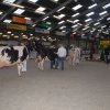 Wintershow_NH_2016_110