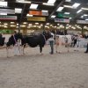 Wintershow_NH_2016_111