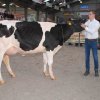 Wintershow_NH_2017_04