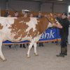 Wintershow_NH_2017_12