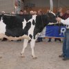 Wintershow_NH_2017_13