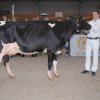 Wintershow_NH_2017_14