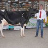 Wintershow_NH_2017_22