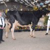 Wintershow_NH_2017_27