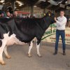 Wintershow_NH_2017_46