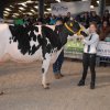 Wintershow_NH_2017_54