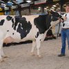 Wintershow_NH_2017_56