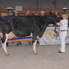 Wintershow_NH_2017_60
