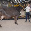 Wintershow_NH_2017_64