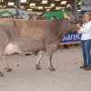Wintershow_NH_2017_66