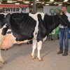 Wintershow_NH_2017_68