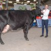 Wintershow_NH_2017_69