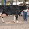 Wintershow_NH_2017_71