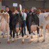 Wintershow_NH_2017_74