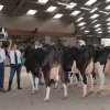 Wintershow_NH_2017_81