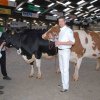 Wintershow_NH_2017_89