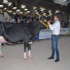 Wintershow_NH_2018_01