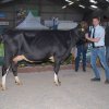 Wintershow_NH_2018_03