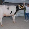 Wintershow_NH_2018_09