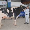 Wintershow_NH_2018_15
