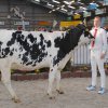 Wintershow_NH_2018_22