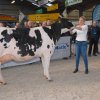 Wintershow_NH_2018_24