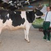 Wintershow_NH_2018_29