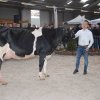 Wintershow_NH_2018_32