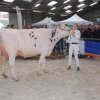Wintershow_NH_2018_34