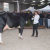 Wintershow_NH_2018_35