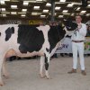 Wintershow_NH_2018_38