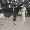 Wintershow_NH_2018_42