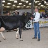 Wintershow_NH_2018_43