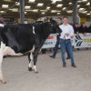 Wintershow_NH_2018_47