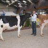 Wintershow_NH_2018_49