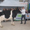 Wintershow_NH_2018_51