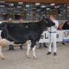 Wintershow_NH_2018_53