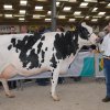 Wintershow_NH_2018_55