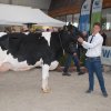 Wintershow_NH_2018_58