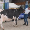 Wintershow_NH_2018_60