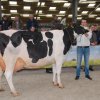 Wintershow_NH_2018_61