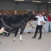 Wintershow_NH_2018_65